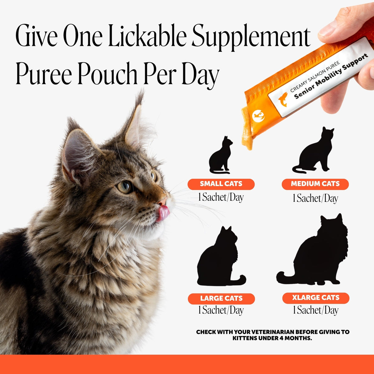 Cat Joint Supplement product image 6