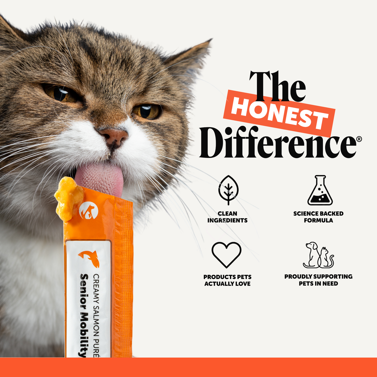 Cat Joint Supplement product image 7