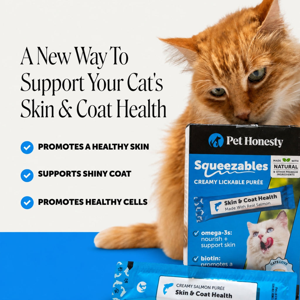 Cat Skin & Coat Supplement product image 2