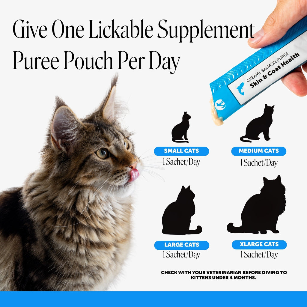 Cat Skin & Coat Supplement product image 5