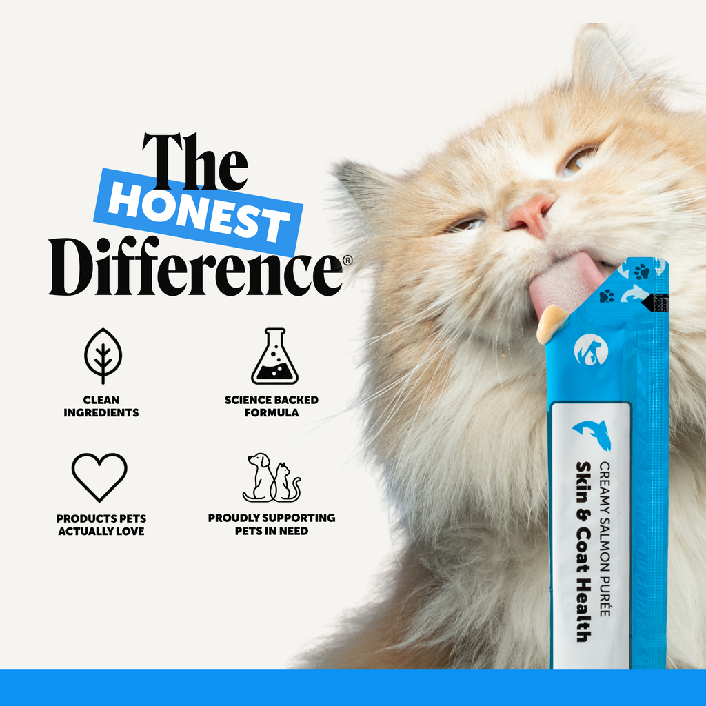 Cat Skin & Coat Supplement product image 7
