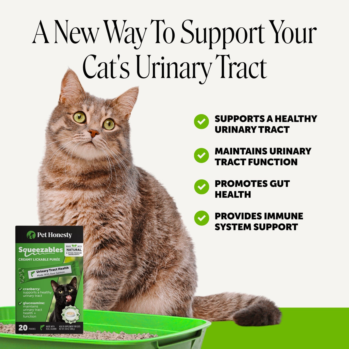Cat Urinary Supplement product image 2