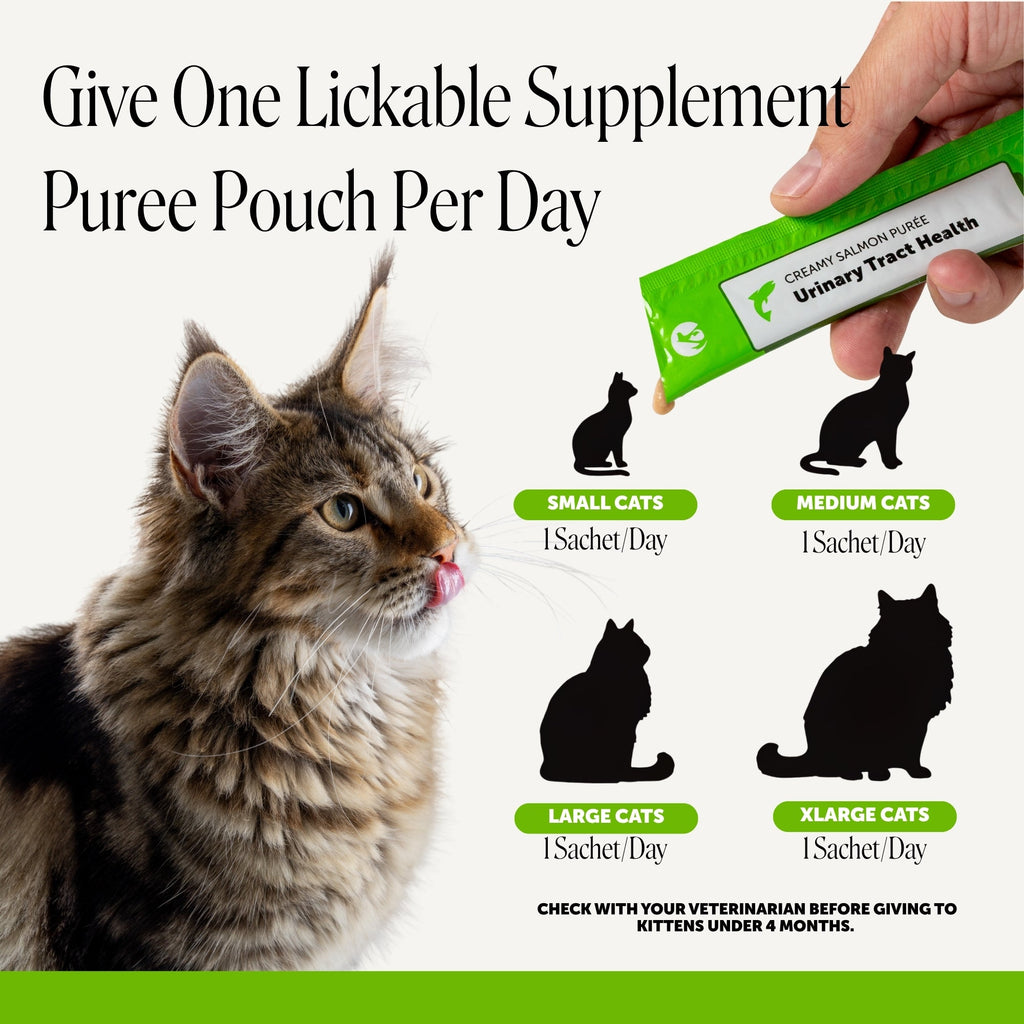 Cat Urinary Supplement product image 5