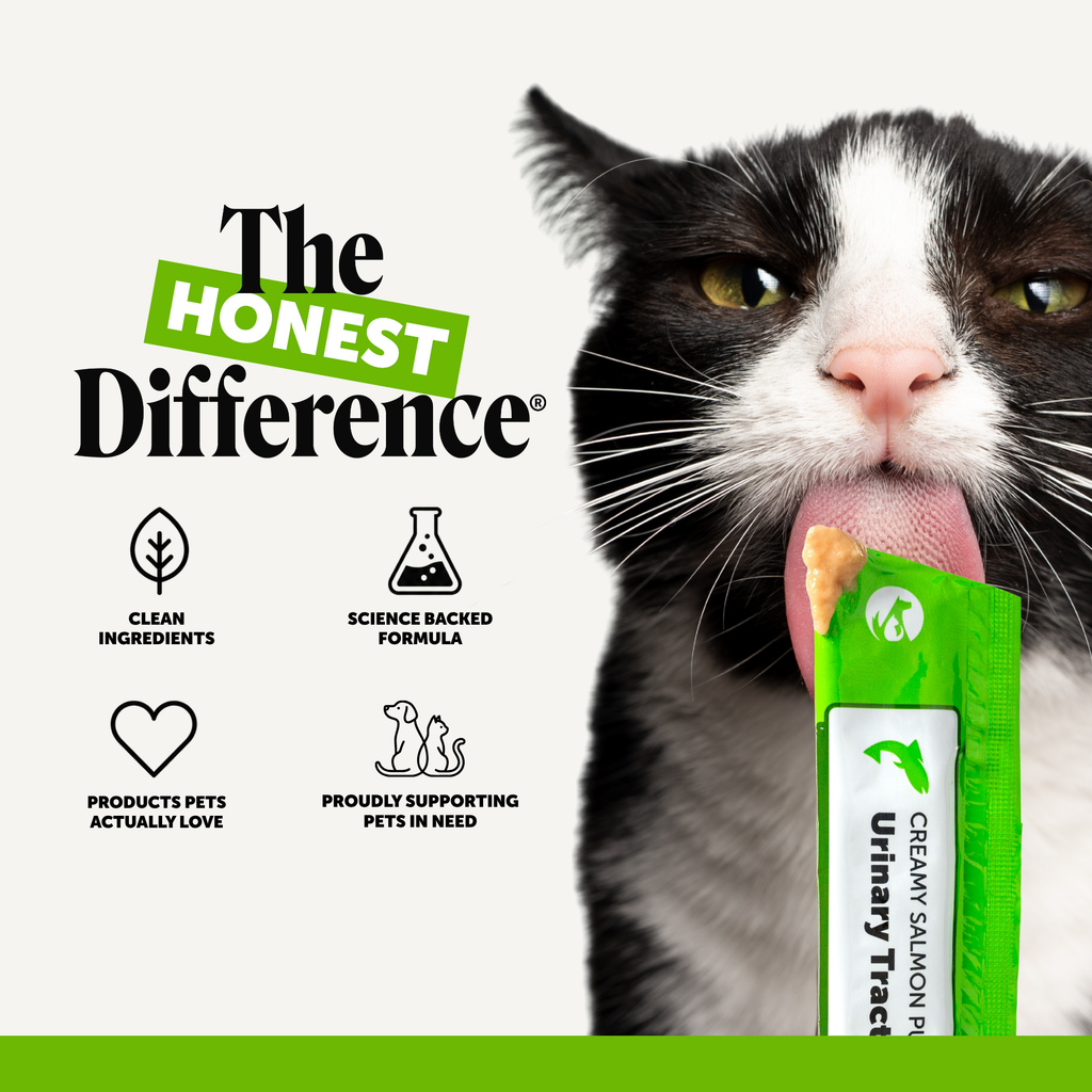 Cat Urinary Supplement product image 10