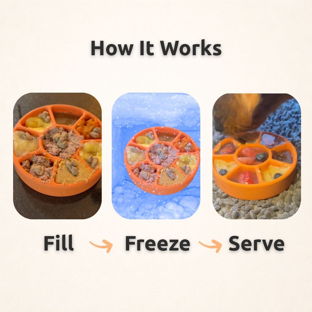 Dog Chew Toy product image 4
