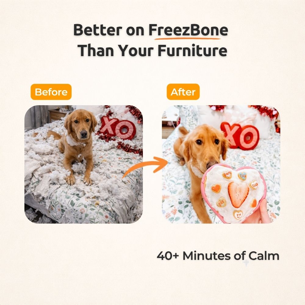 Treat Dispensing Dog Toy product image 3