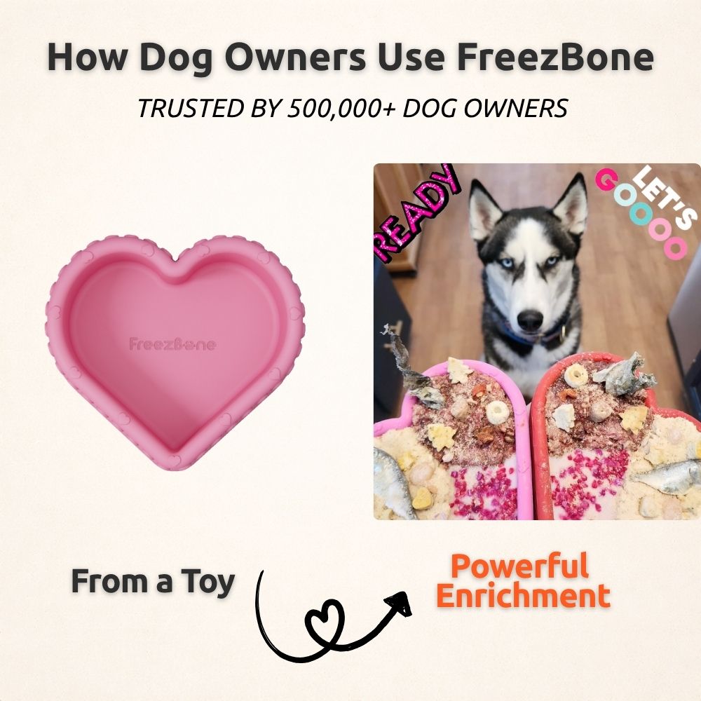 Treat Dispensing Dog Toy product image 7