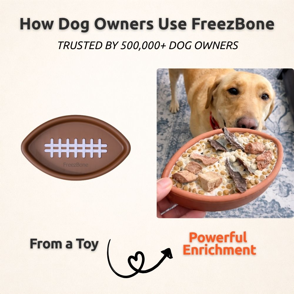 Football Dog Toy product image 5