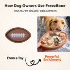 Football Dog Toy product image 5