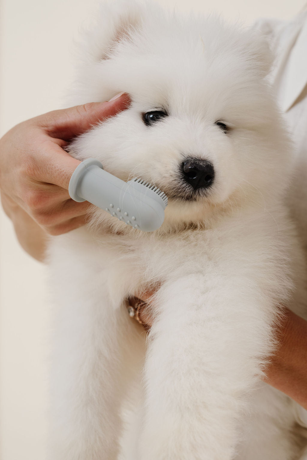 Dog Finger Toothbrush product image 3