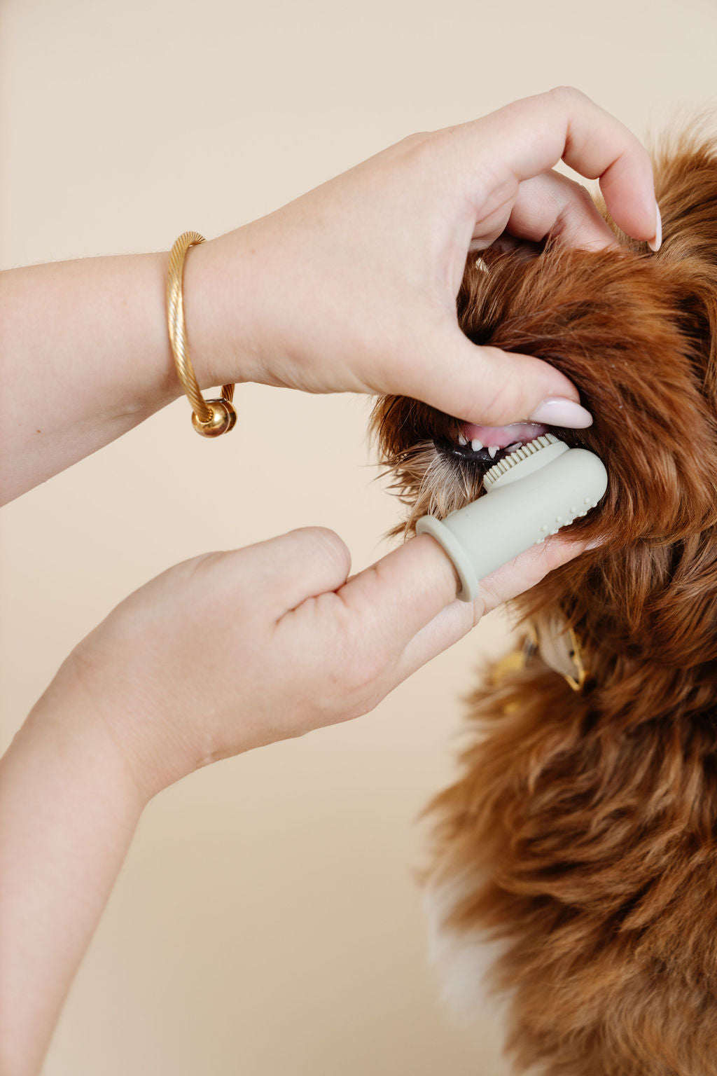 Dog Finger Toothbrush product image 4