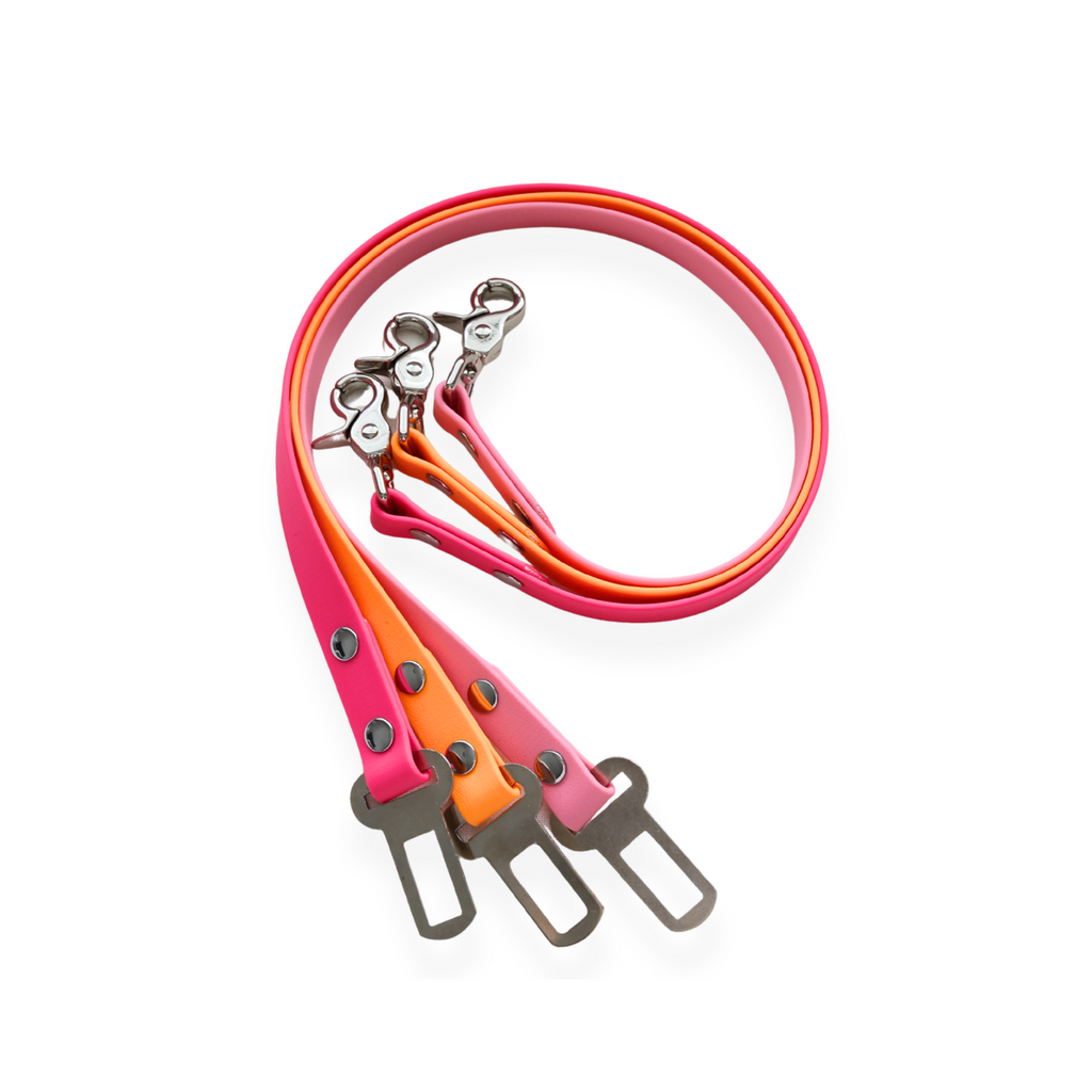 Dog Seat Belt Tether product image 1
