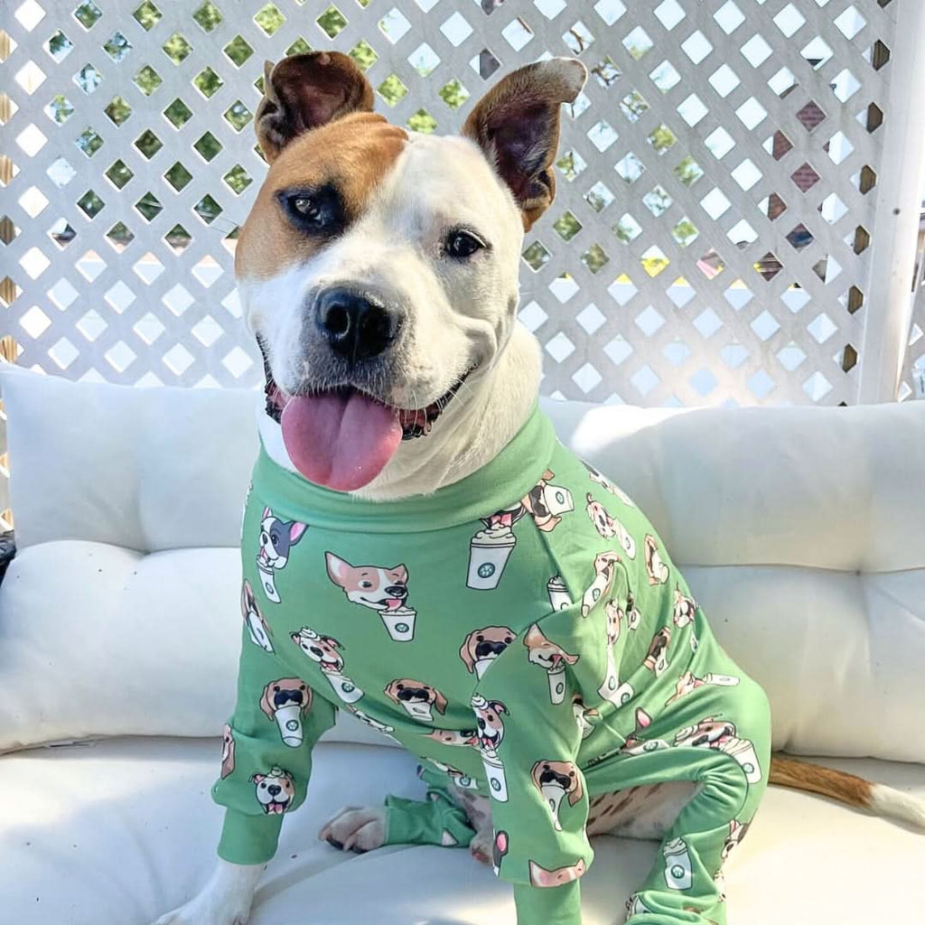 Dog Pajamas product image 33