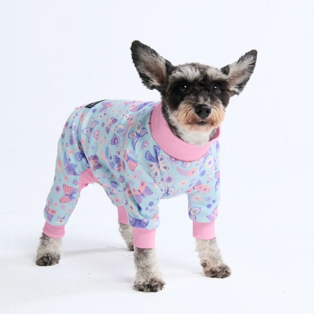 Dog Pajamas product image 40