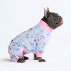 Dog Pajamas product image 43