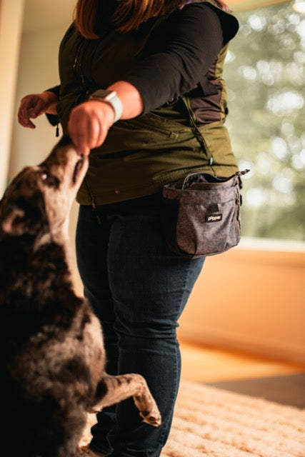 Dog Treat Pouches product image 7