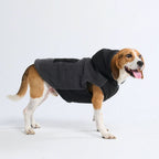 Reversible Sherpa Dog Jacket product image 5