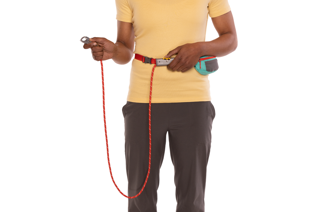 Adjustable Dog Leash and Hitching System product image 19