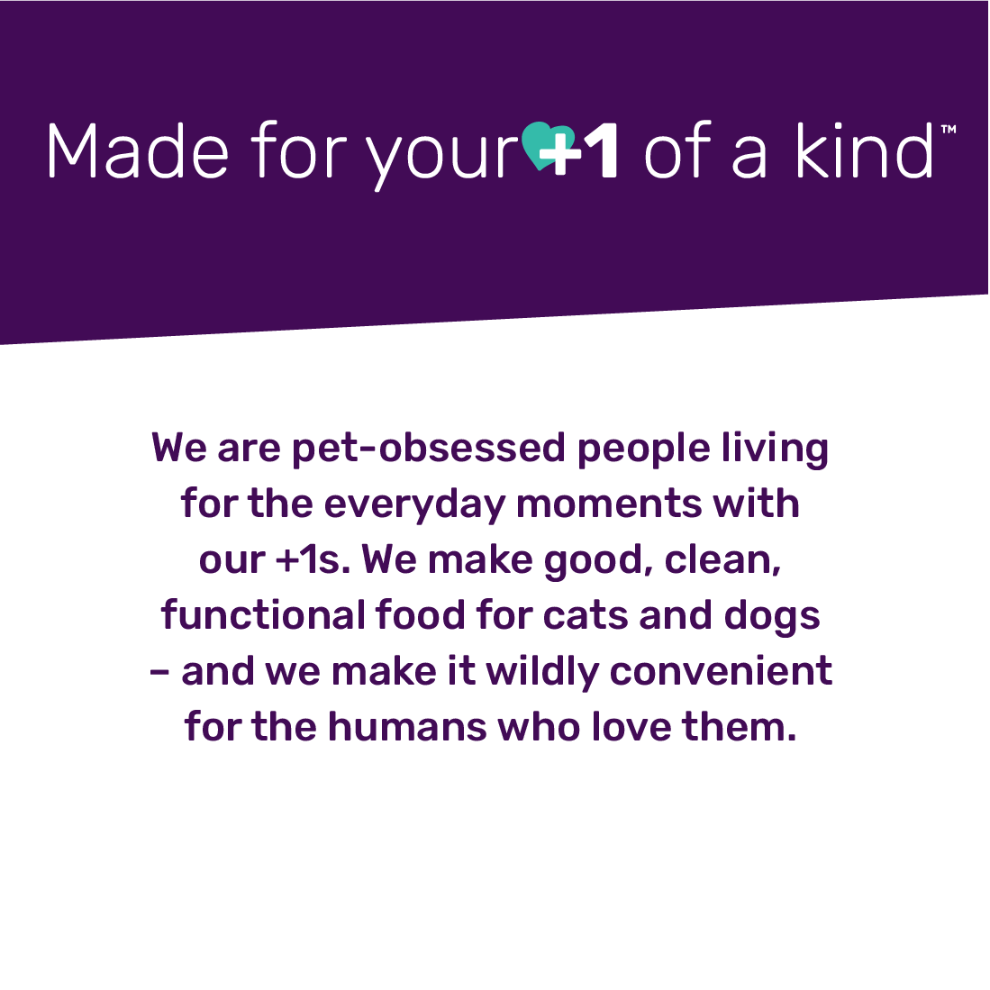 Freeze-Dried Dog Food product image 4