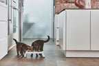 Elevated Cat Feeder product image 3