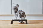 Elevated Cat Feeder product image 4