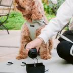 Collapsible Dog Travel Bowl product image 5