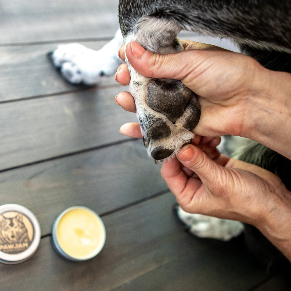 Dog Paw Balm product image 3
