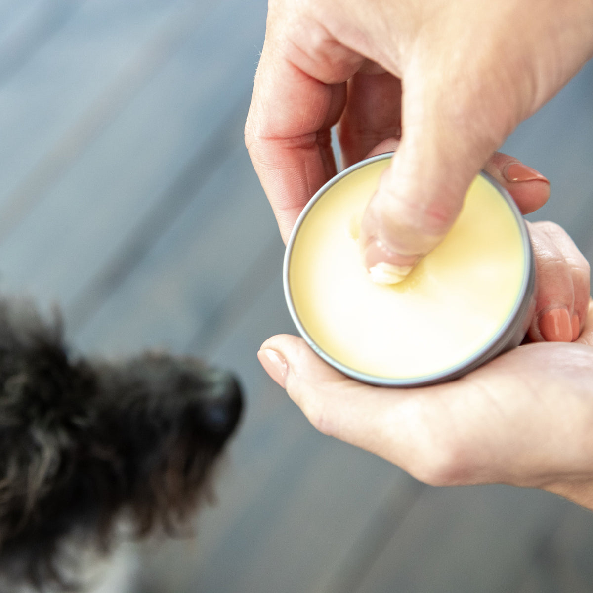 Dog Paw Balm product image 4