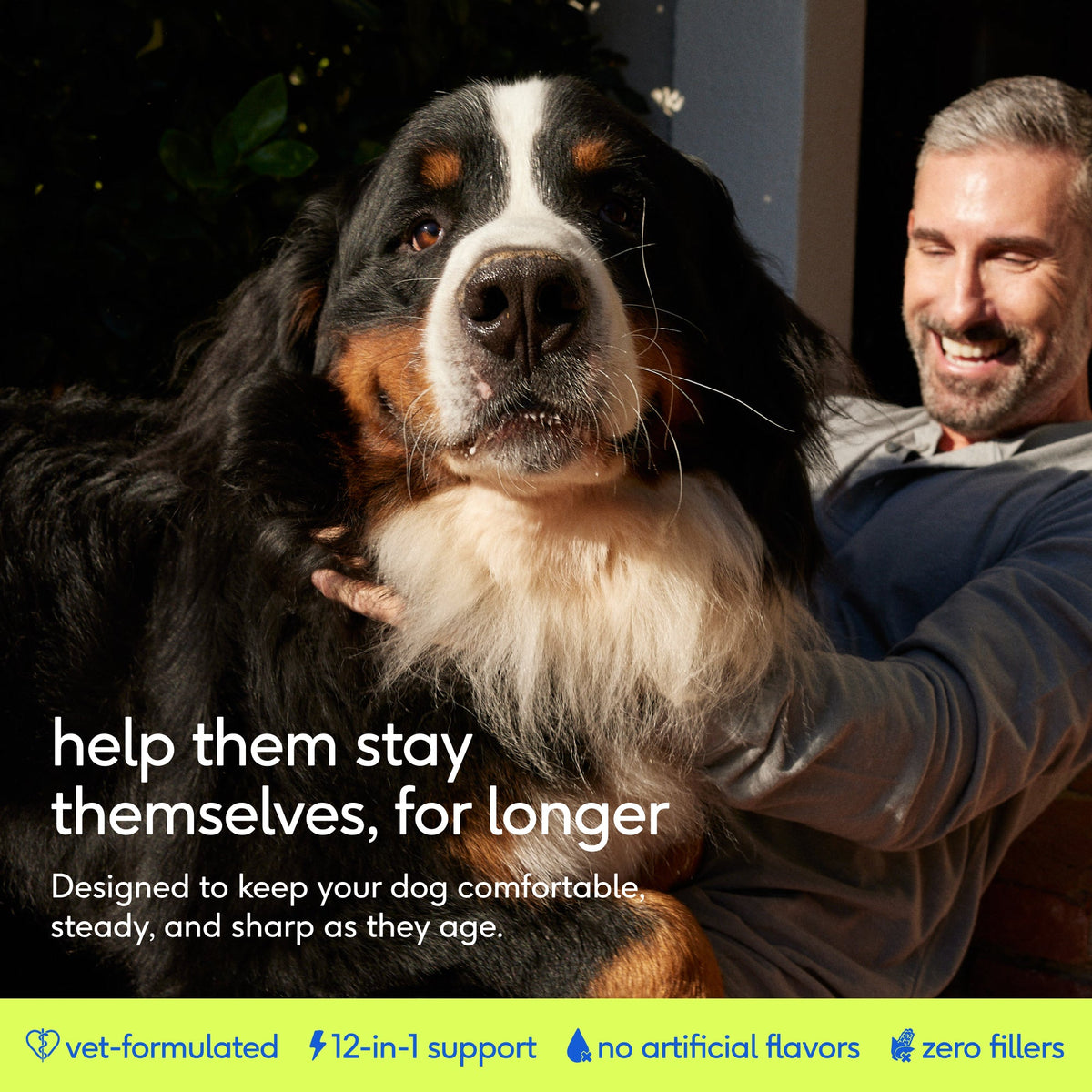 Senior Dog Supplement Powder product image 2