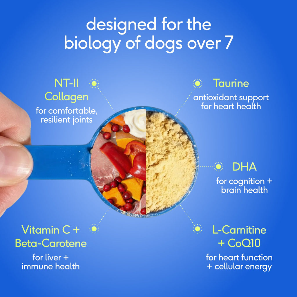 Senior Dog Supplement Powder product image 5