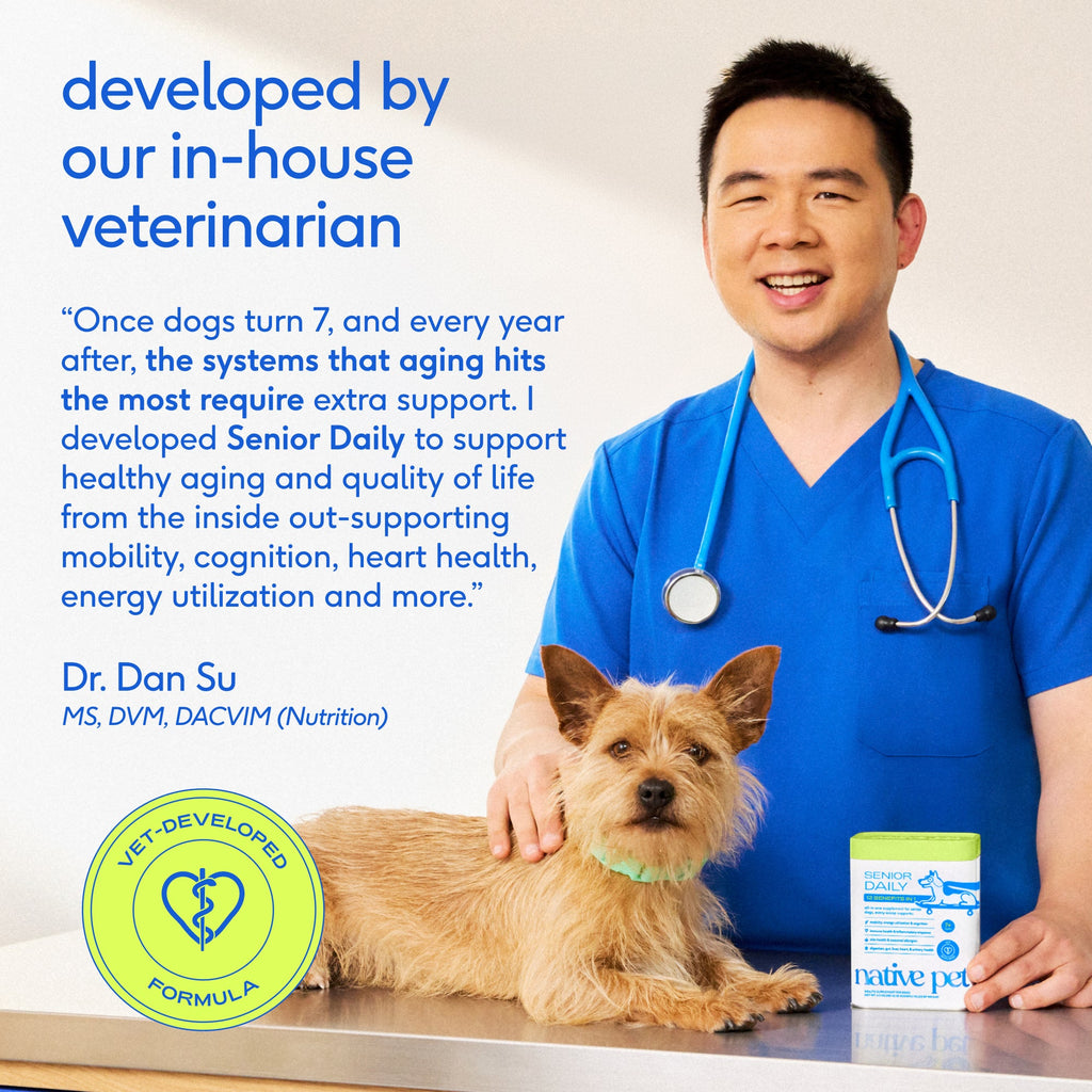 Senior Dog Supplement Powder product image 6