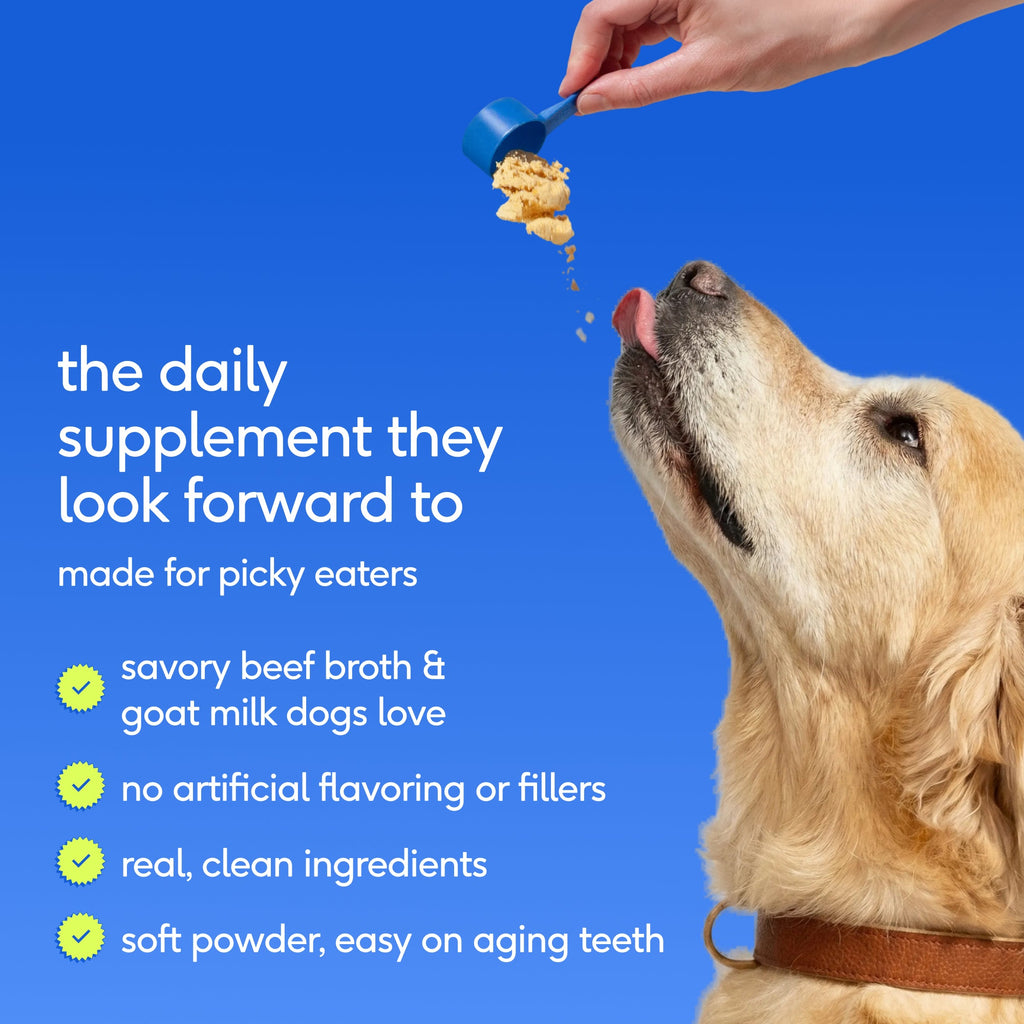 Senior Dog Supplement Powder product image 7