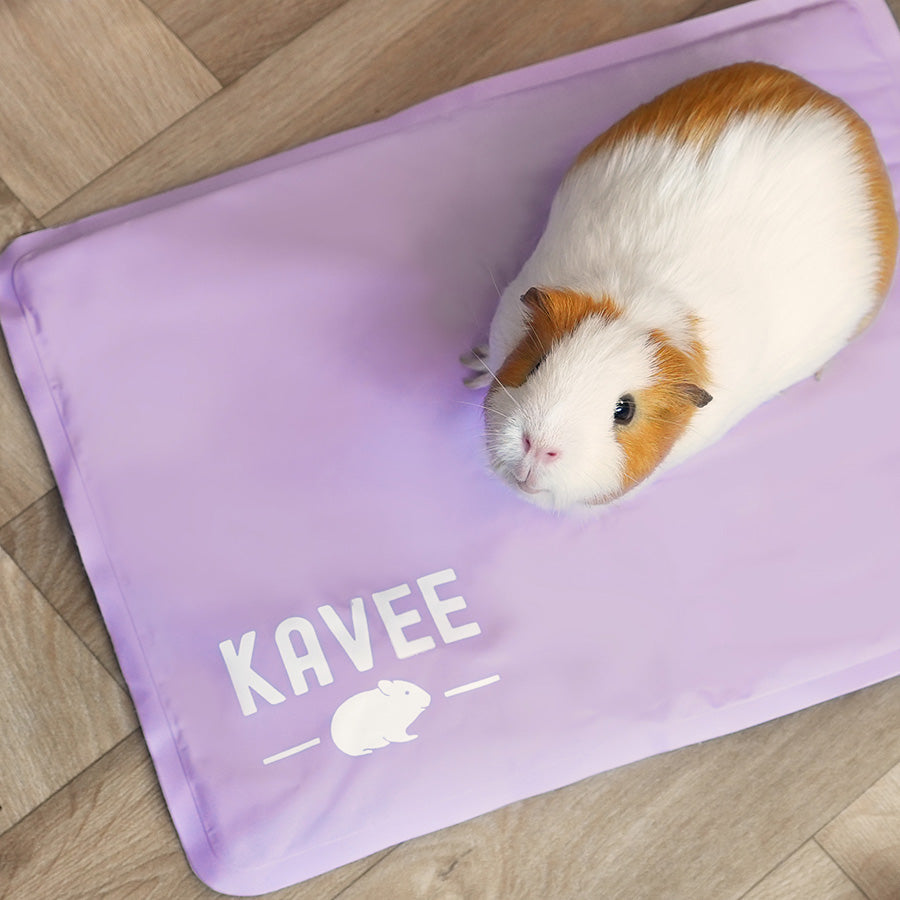 Small Animal Cooling Mat product image 1