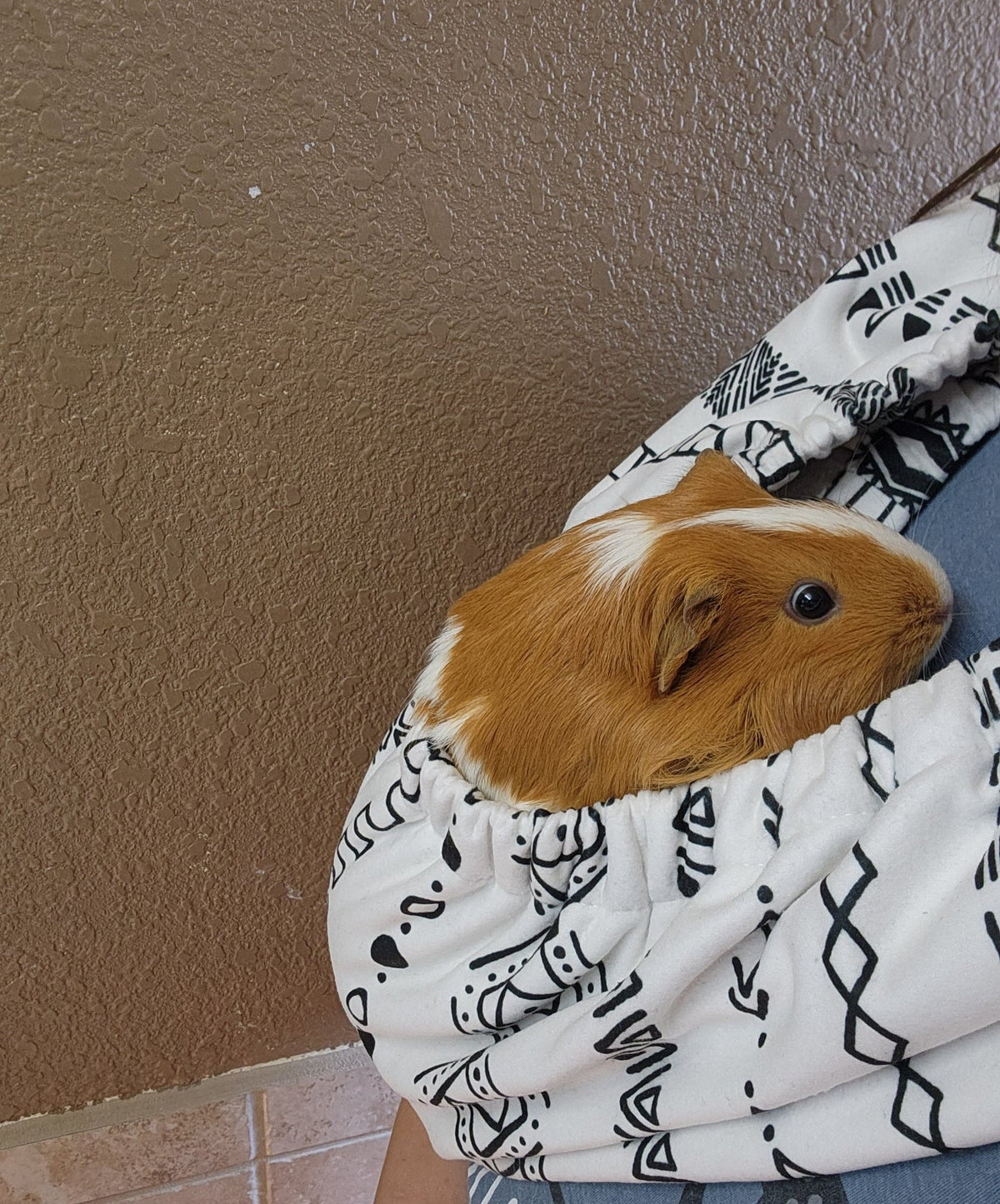 Small Animal Bonding Scarf product image 3