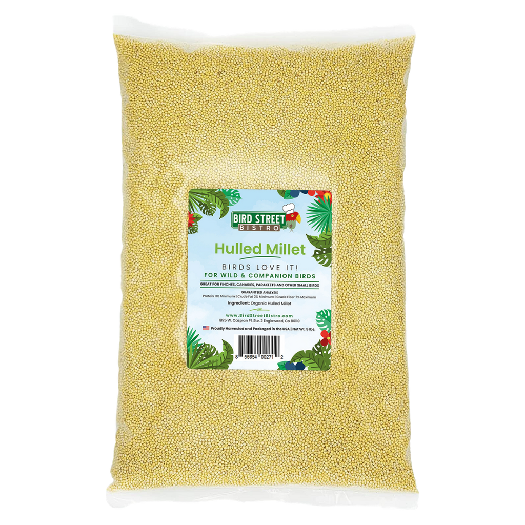 Hulled Millet product image 1