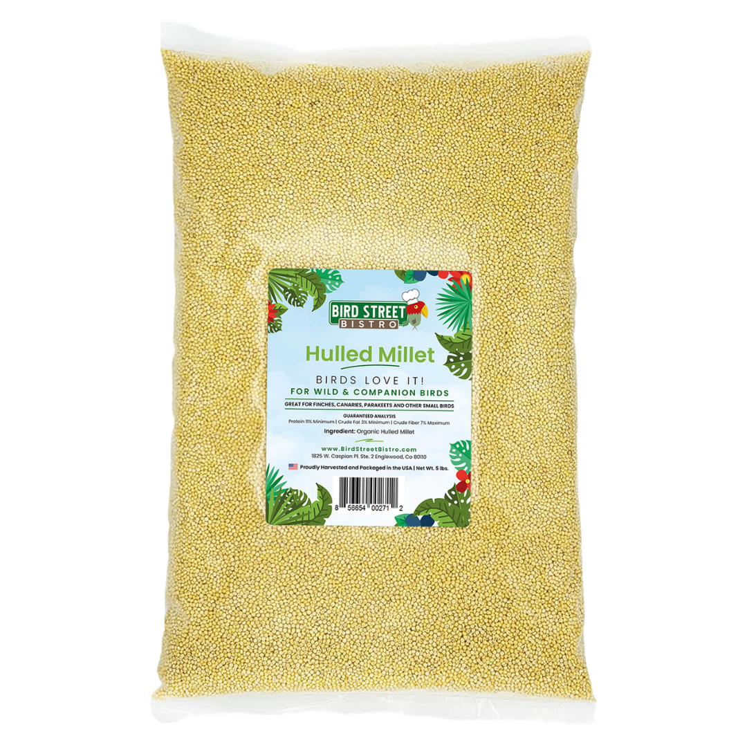 Hulled Millet product image 1
