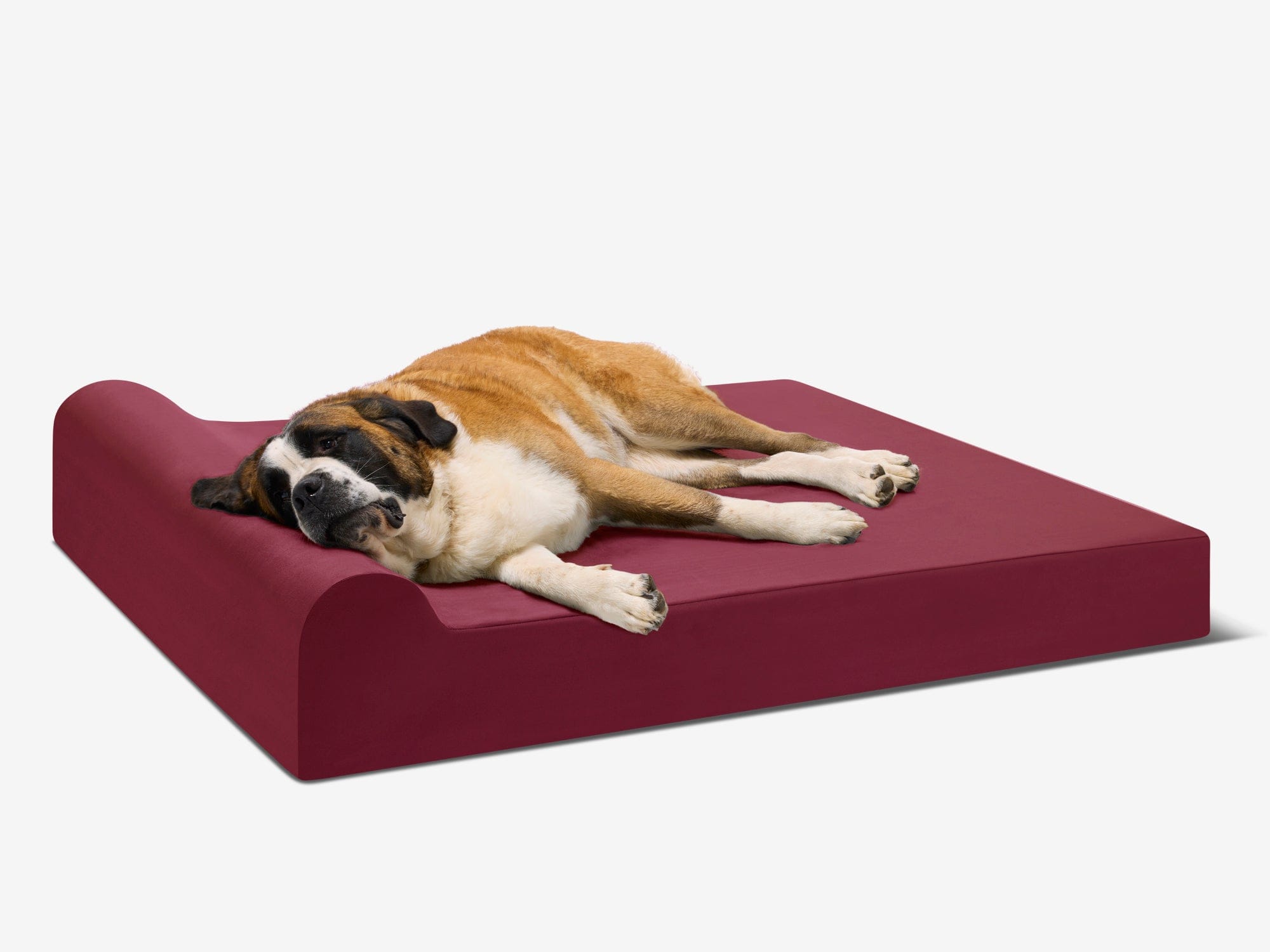 Seven-Inch Orthopedic Dog Bed product image 2