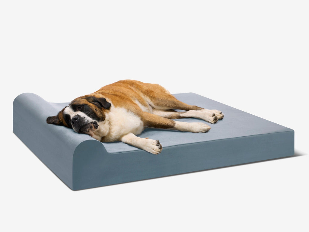 Seven-Inch Orthopedic Dog Bed product image 4