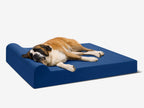 Seven-Inch Orthopedic Dog Bed product image 5