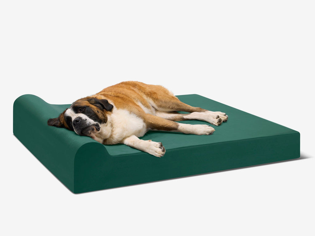 Seven-Inch Orthopedic Dog Bed product image 6