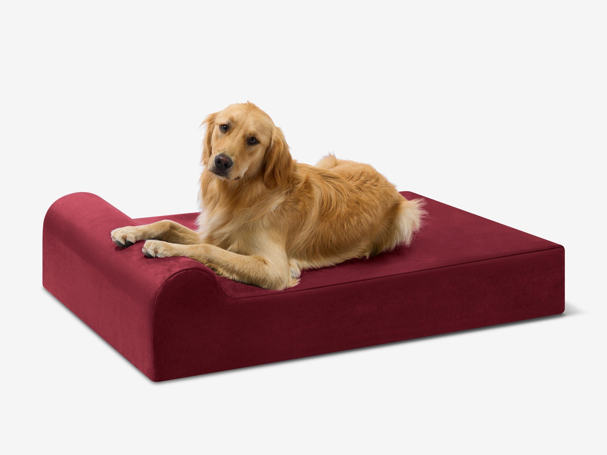 Seven-Inch Orthopedic Dog Bed product image 7