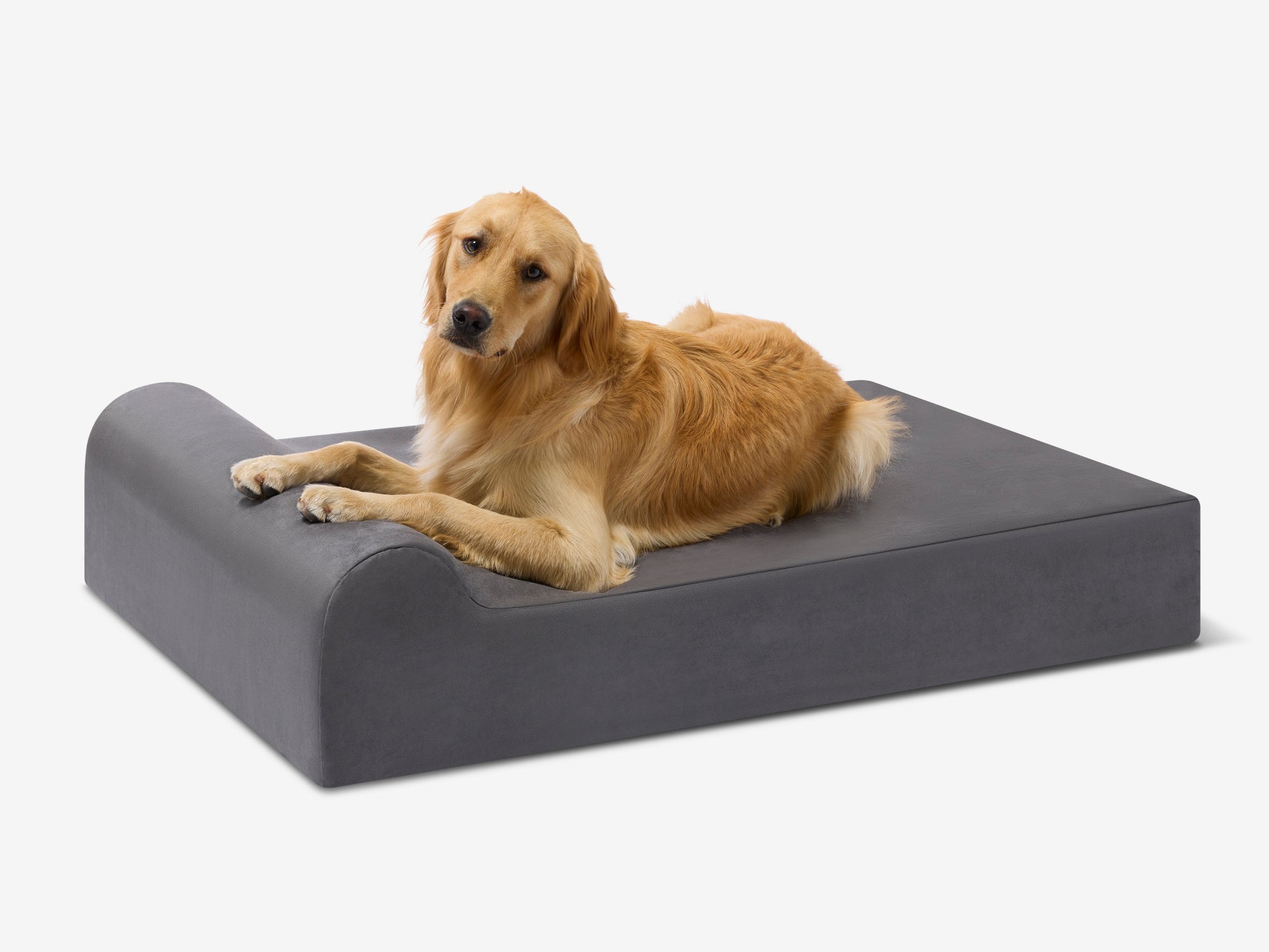 Seven-Inch Orthopedic Dog Bed product image 8