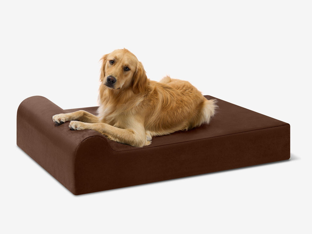 Seven-Inch Orthopedic Dog Bed product image 9