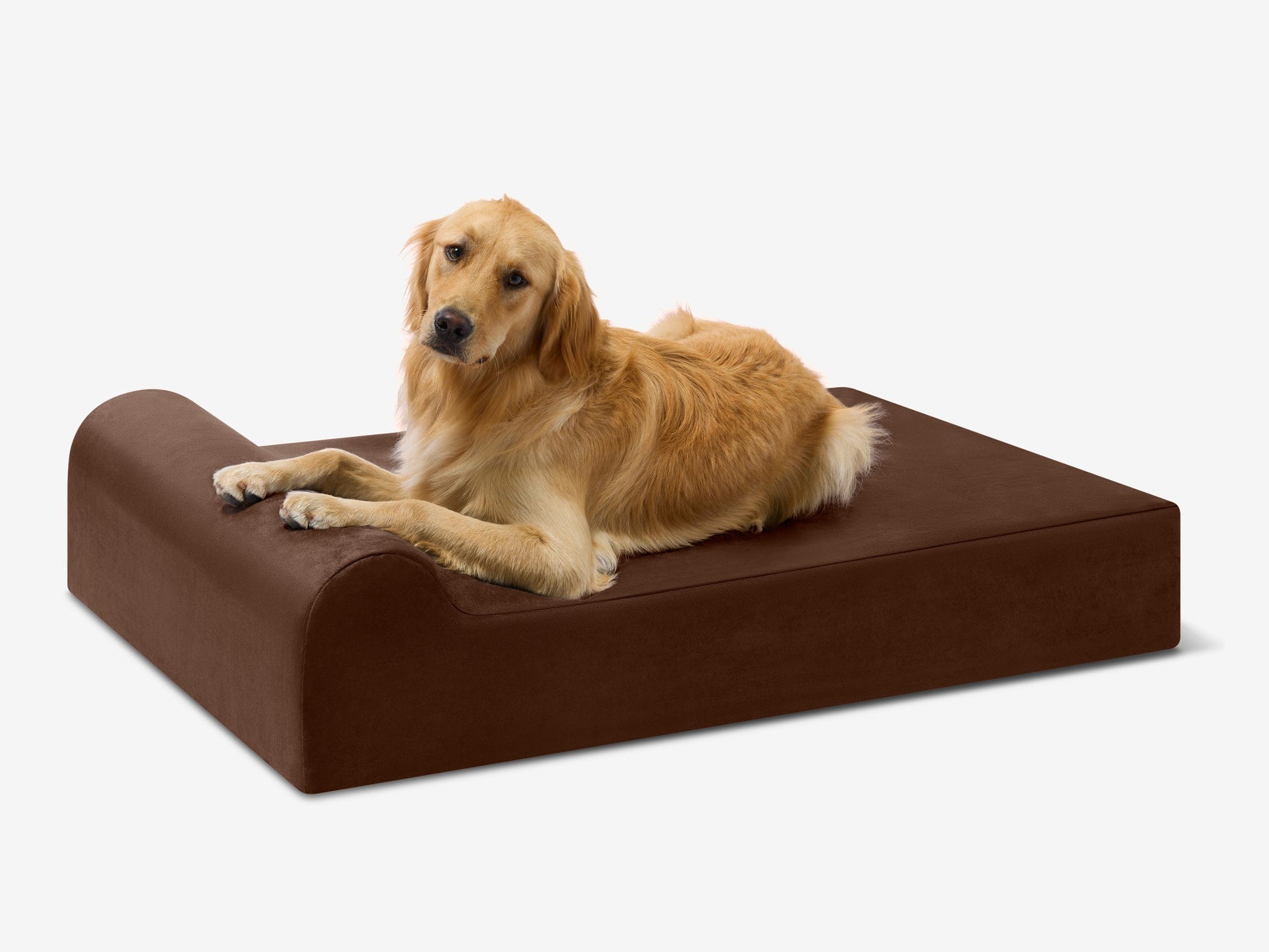 Seven-Inch Orthopedic Dog Bed product image 9