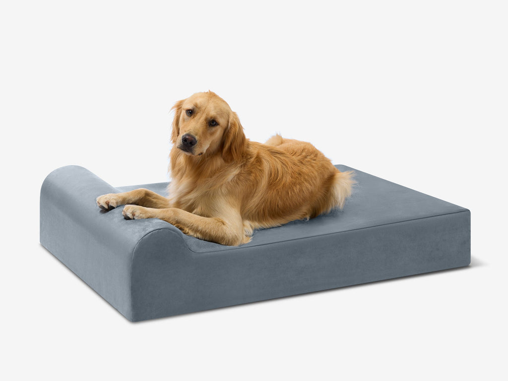 Seven-Inch Orthopedic Dog Bed product image 10