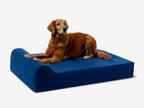 Seven-Inch Orthopedic Dog Bed product image 11