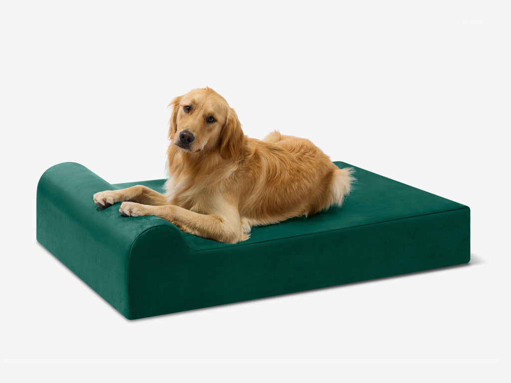 Seven-Inch Orthopedic Dog Bed product image 12