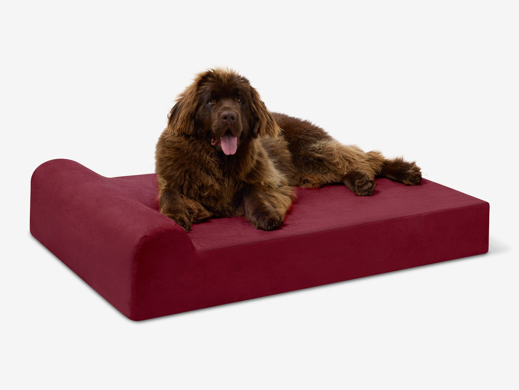 Seven-Inch Orthopedic Dog Bed product image 14