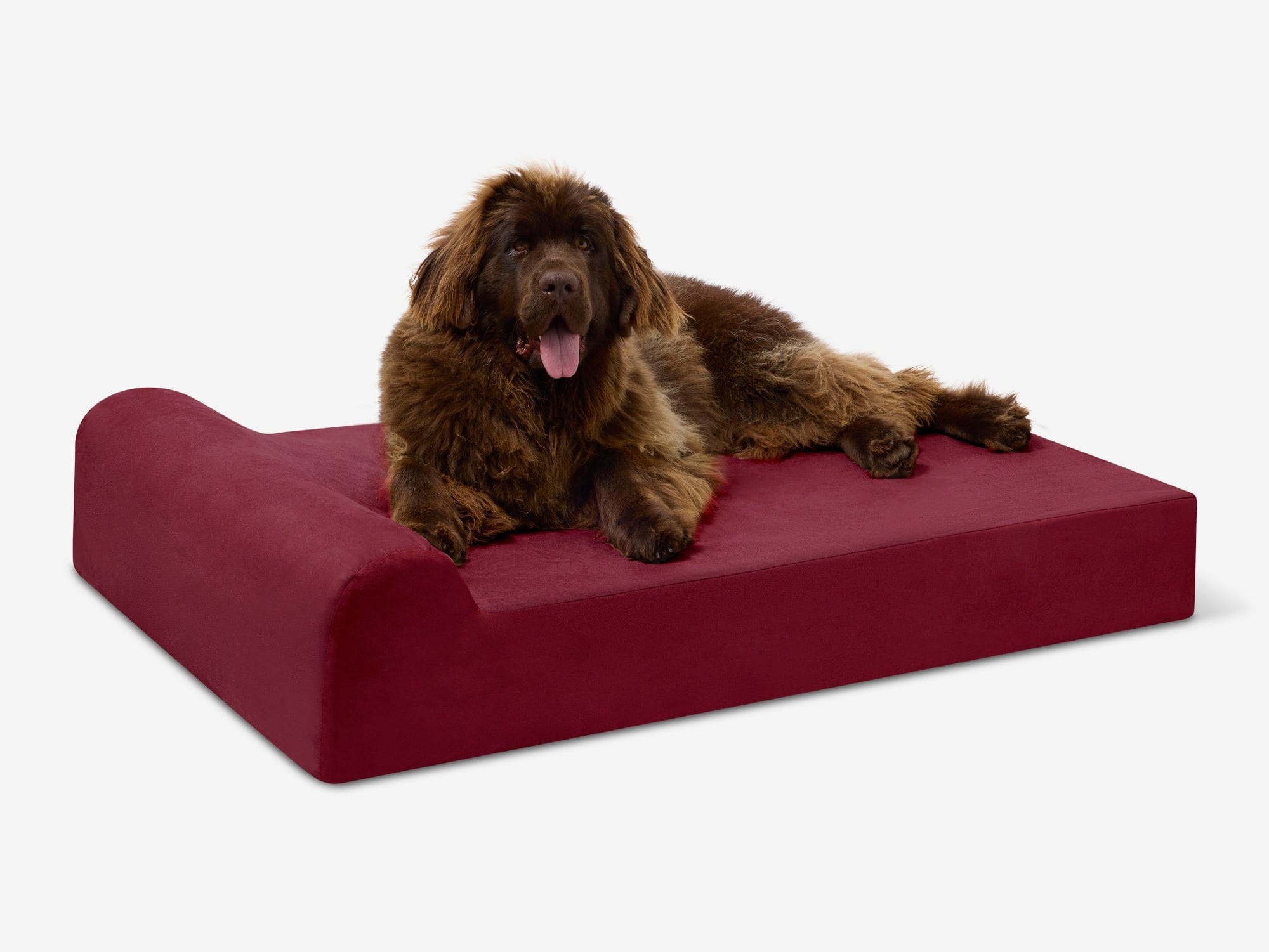 Seven-Inch Orthopedic Dog Bed product image 14