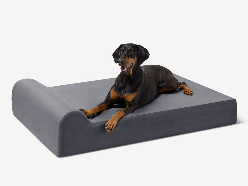 Seven-Inch Orthopedic Dog Bed product image 15